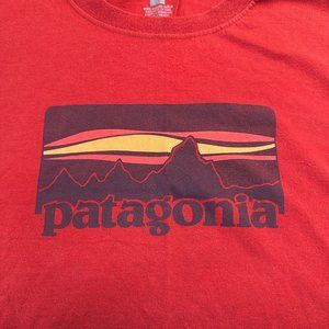 Patagonia 100% Organic Cotton T-Shirt XL (Used But Nice)